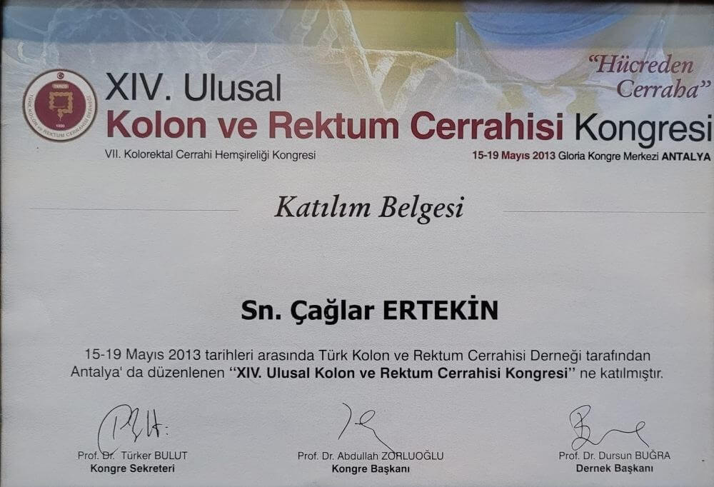 Caglar ertekin - colon and rectum surgery congress participation certificate
