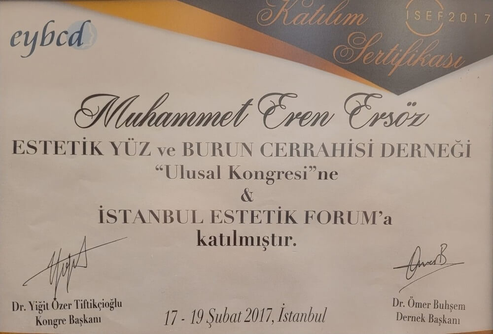 Eren ersoz - congress participation certificate