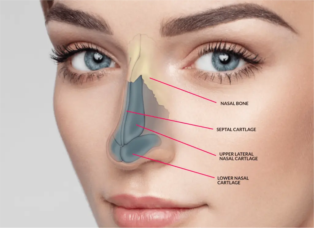 How-can-rhinoplasty-help-your-stuffy-nose