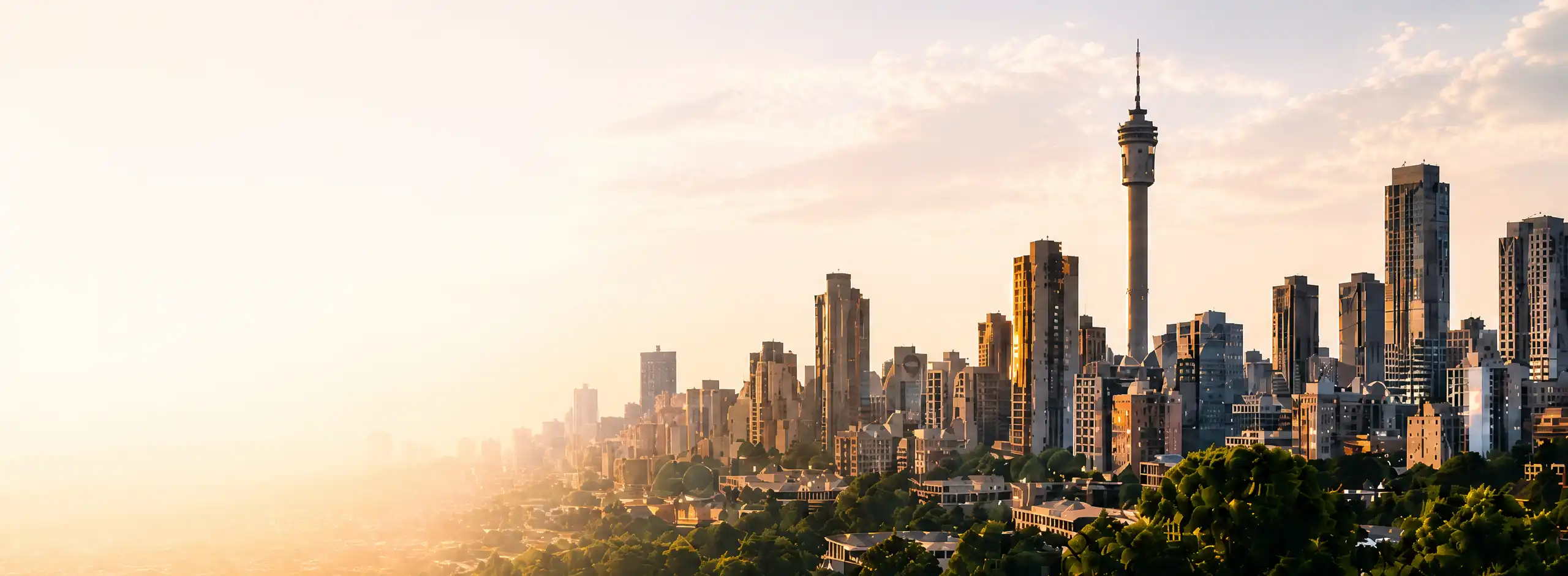 Johannesburg skyline