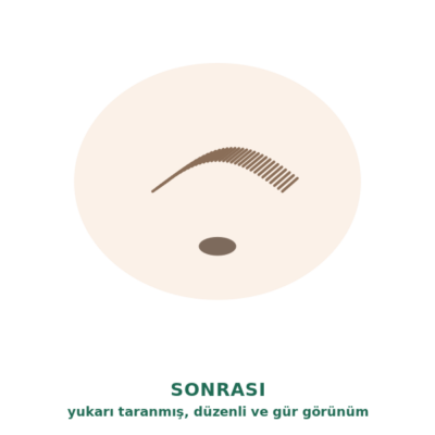 Kaş laminasyonu sonrası: yukarı taranmış, düzenli ve daha gür görünen kaşlar